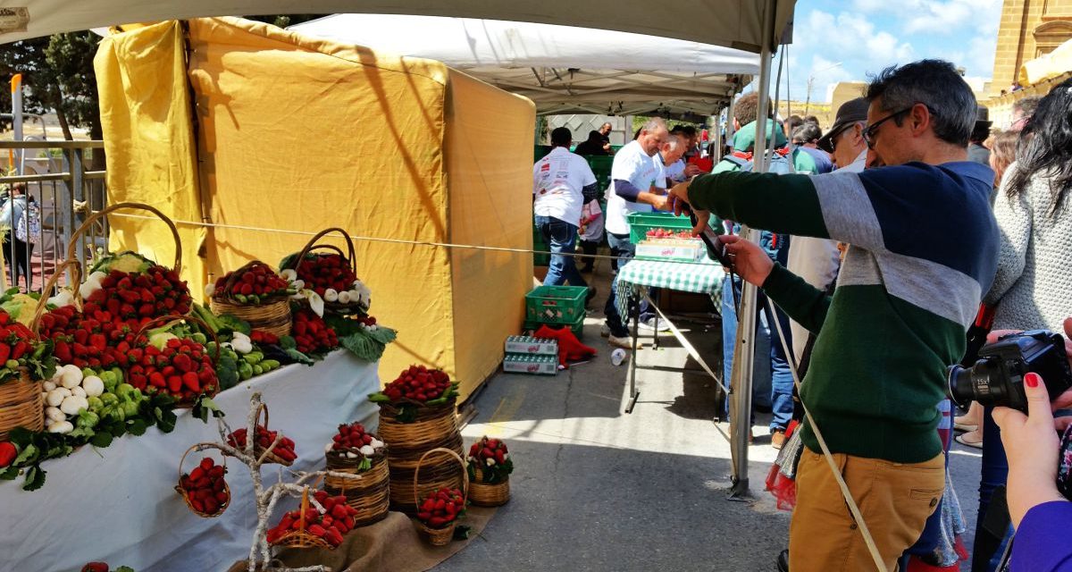 Enjoy Festa Frawli, the Mgarr’s delicious Strawberries Festival