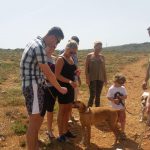 Rescued dogs Happy dogs at Noah’s Ark Sactuary Mellieha