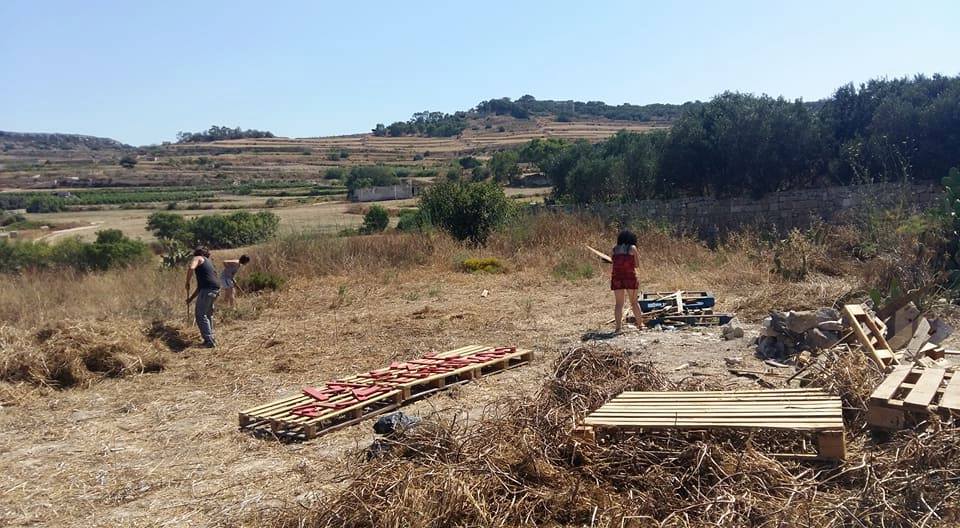 Musical Event in the Farm