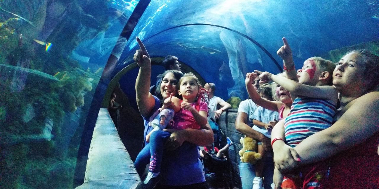 Celebrating Malta National Aquarium 4th Birthday with Nicky